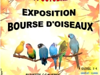 Bourse aux oiseaux exotiques