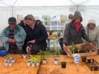 L'édition 2021 du Troc Plantes aura bien lieu ce dimanche à Givry.