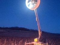 Activité nocturne inhabituelle dans certaines vignes givrotines