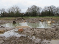 Création de mares à Champforgeuil pour sauver de nombreuses espèces animales et plantes aquatiques.