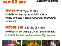 Sortie Champignons à Châtenoy-le-Royal samedi 23 novembre 2019