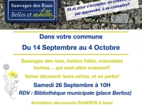 «  Sauvage des rues » une balade pour découvrir les plantes sauvages sur la commune
