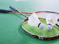 Portes ouvertes au club de badminton de Saint Rémy.