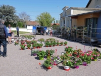 Marché aux fleurs et aux plants potagers du Foyer Saint Joseph