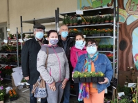 Des plants de fleurs et de légumes ont envahi le préau de l’école Henri-Clément de Saint Rémy.