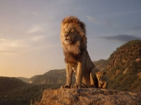 Ciné sous les étoiles : plus de 800 personnes pour «Le Roi Lion» au Plateau Saint-Jean