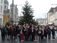 Le Conseil Municipal des enfants décore les sapins de Noël du centre de Chalon-sur-Saône