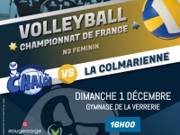 Dimanche 1er Décembre, N3F 7e J. : VBCC - COLMARIENNE VOLLEY : Pour une 2e victoire ?