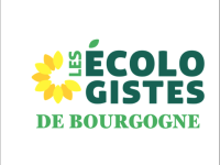 Écologistes de Bourgogne - Avec le récent rapport de la Cour régional des comptes, l’arbre climato-sceptique ne cache plus l’état désastreux de nos forêts