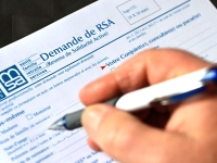 Maintien du RSA et salaires issus des vendanges : le Département de Côte d'Or se mobilise pour dynamiser  le recrutement pour les vendanges 