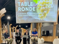 Cité des Climats de Beaune - L'Aligoté en Bourgogne : d'un passé modeste à un avenir radieux