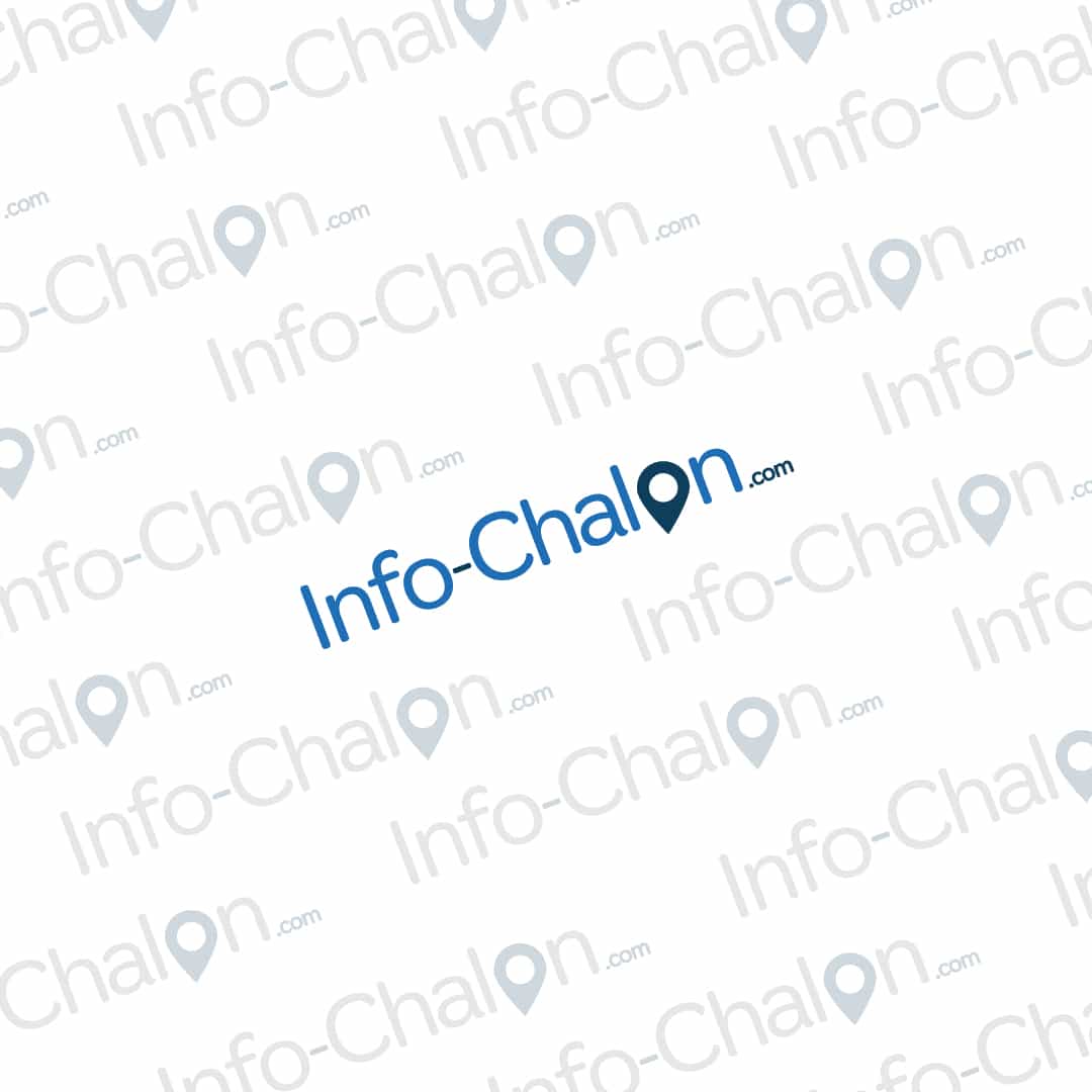 Un nouveau logo pour l'Elan Chalon