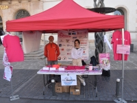 Dans le cadre d’Octobre Rose, le stand de la course ‘La Chalonnaise’ était présente sur le marché Place de l’Hôtel de Ville