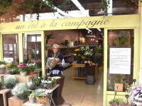 Suite à son prochain départ à la retraite, grand déstockage de plantes vertes et fleuries, vases, fleurs séchées… au magasin ‘Un été à la campagne’ 