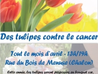 Venez participer à la 24ème édition de l’opération  « Tulipe contre le Cancer »