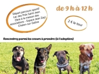 Le dimanche 5 mai 2024 de 9 h à 12h au lac de la Z.U.P, venez participer à une marche solidaire pour les animaux d’un refuge de la région chalonnaise