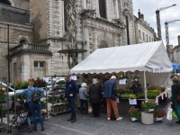 L’événement ‘Place aux fleurs’, place de l'Hôtel de Ville a connu un réel succès 