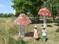 Succès de la Fête de la biodiversité ce samedi au Parc Bellevue