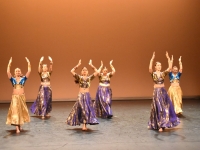 La 20e  édition de la Semaine de la Danse (9) : Les écoles et associations de danse de chalon et du bassin chalonnais !  