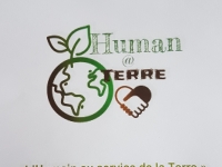 Human Terre organise un marché artisanal et de produits locaux le vendredi 23 juillet de 18h00 à 21h00 à Saint Rémy.