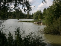 Un projet de parc animalier à l’étang Chaumont à Chatenoy le Royal