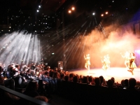 Espace des Arts : énorme succès de la pièce ‘I will survive’ récemment récompensée aux Molières du Théâtre public