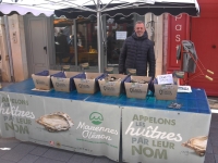Sur les marchés chalonnais, les premières huitres sont arrivées ! 