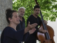 Chalon Dans la Rue : Découvrez Cabaret Végétal !