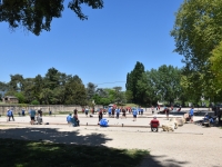 Le coin des Amis de la Pétanque (AP Chalon) : les équipes une et deux confortent leur première place
