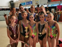 Pluie de médailles pour l’Eveil Chalon en Gymnastique rythmique  aux trois nationaux 