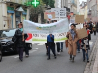 Marche pour le climat : 200 personnes rassemblées à Chalon-sur-Saône