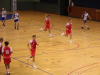 Handball. Nationale 3 Masculine - Poule 6 : Les Chalonnais sèchement battus par les Alsaciens d'Illkirch pour leur premier match (26-34)