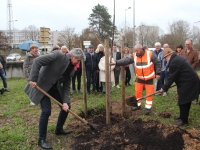 Charreaux : Plantation d'un noyer en hommage à Jeannette Guichard 