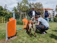 Un nouvel espace de liberté pour chiens à Chalon-sur-Saône