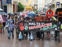 À Chalon-sur-Saône, ils continuent de se mobiliser pour un «cessez-le-feu à Gaza»