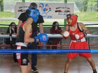 Boxe anglaise : Belle performance du ROC à Pouilly