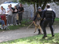 Succès pour la Journée Portes ouvertes de la Police municipale de Chalon -sur-Saône