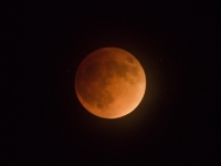 La Lune géante «du Castor» illuminera le ciel ce mercredi