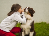 Bientôt, des chiens formés pour accompagner les enfants au tribunal en Côte-d’Or