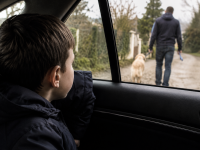 Abandon d’un chien ou d’un chat : un traumatisme parfois durable pour l’enfant