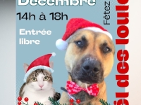 Samedi 13 décembre : après-midi de Noël solidaire au refuge. Adoptions et conseils d’experts