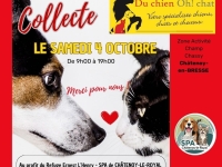 Châtenoy-en-Bresse, samedi 4 octobre : soyez solidaire avec les pensionnaires de la SPA