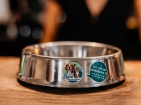 « Ici, on se désaltère ! » Pour rafraîchir nos compagnons à quatre pattes, les bars du centre-ville se mobilisent !