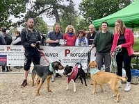Des chiens, des sourires et de la solidarité pour les animaux du refuge SPA : une Marche réussie ce dimanche à Chalon !