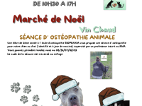 Venez au “Noël des animaux” à la SPA de Gueugnon, dimanche 14 décembre