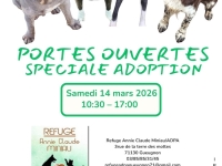 GUEUGNON : Samedi 14 mars, journée “spéciale adoption” à la SPA