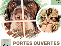 Gueugnon : Journée Portes ouvertes à la SPA
