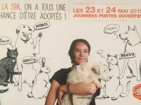 Cette Jack Russel a passé 9 ans de sa vie en cage dans une « usine à chiots »