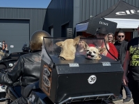 Clin d’œil chez Harley-Davidson Chalon-sur-Saône : week-end de folie !