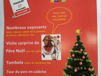 Ce dimanche, c’est le Marché de Noël à Châtenoy-en-Bresse